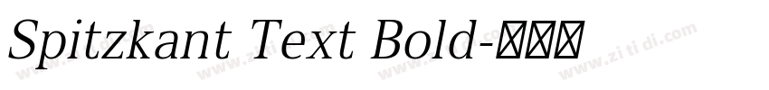Spitzkant Text Bold字体转换